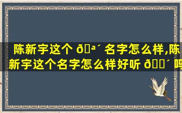 陈新宇这个 🪴 名字怎么样,陈新宇这个名字怎么样好听 🌴 吗